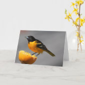 Baltimore Oriole Grußkarte Karte (Gelbe Blume)