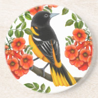 Baltimore Oriole im Trompete-Rebe-Untersetzer