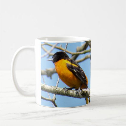 Baltimore Oriole Kaffee Tasse von BirdingCollectib (Links)