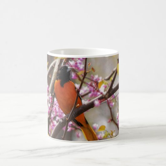 Baltimore Oriole Kaffeetasse (Mittel)