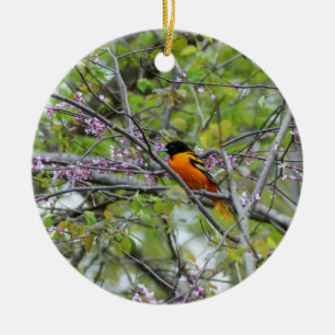 Baltimore Oriole Keramik Ornament