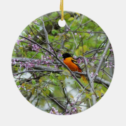 Baltimore Oriole Keramik Ornament (Hinten)