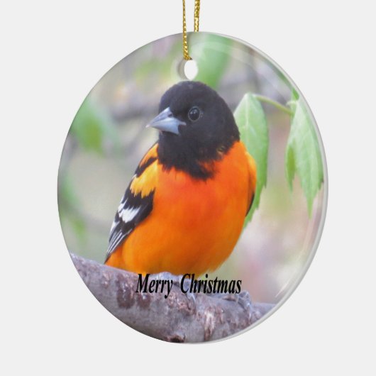Baltimore Oriole Keramik Ornament (Links)