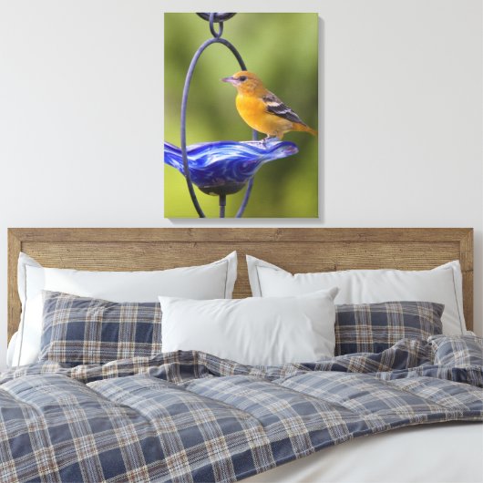 Baltimore Oriole Leinwanddruck (Insitu (Schlafzimmer))
