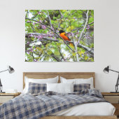Baltimore Oriole Leinwanddruck (Insitu (Schlafzimmer))