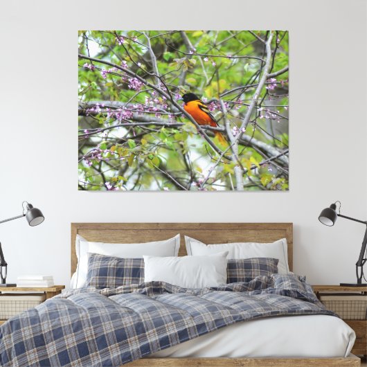 Baltimore Oriole Leinwanddruck (Insitu (Schlafzimmer))