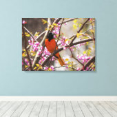 Baltimore Oriole Leinwanddruck (Insitu (Holzboden))