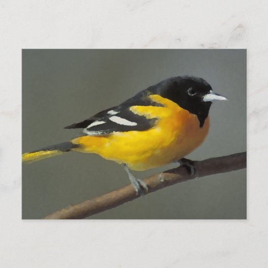 Baltimore Oriole Logo (Palette) Postkarte (Vorderseite)