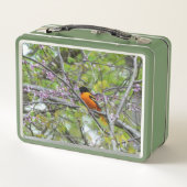 Baltimore Oriole Metall Brotdose (Rückseite)