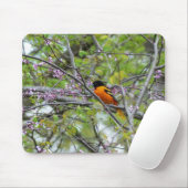 Baltimore Oriole Mousepad (Mit Mouse)