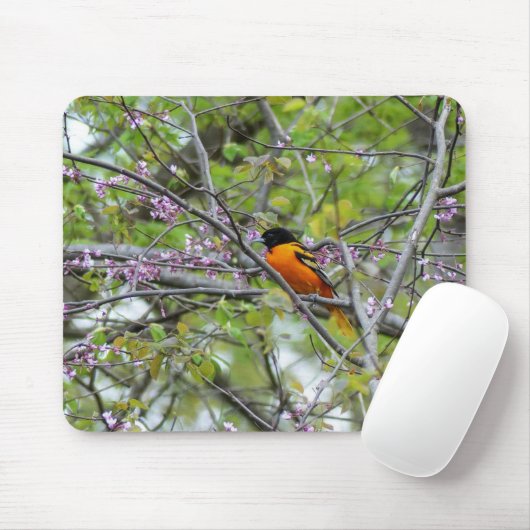 Baltimore Oriole Mousepad (Mit Mouse)