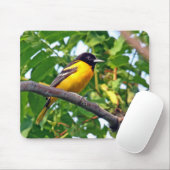 Baltimore Oriole Mousepad (Mit Mouse)