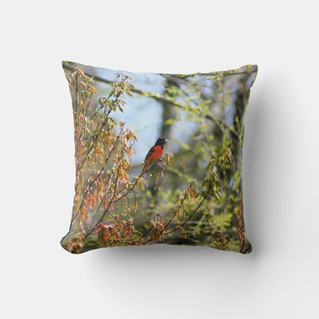 Baltimore Oriole Pillow Kissen (Vorderseite)