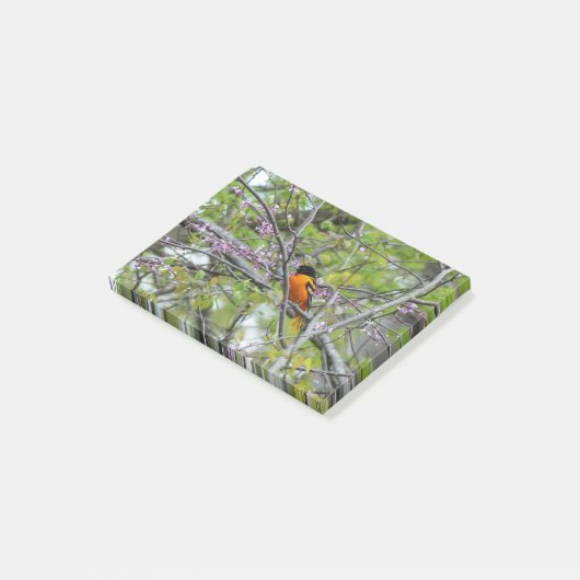 Baltimore Oriole Post-it Klebezettel (angewinkelt)