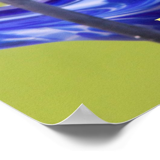 Baltimore Oriole Poster (Ecke)