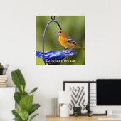 Baltimore Oriole Poster (Heimbüro)