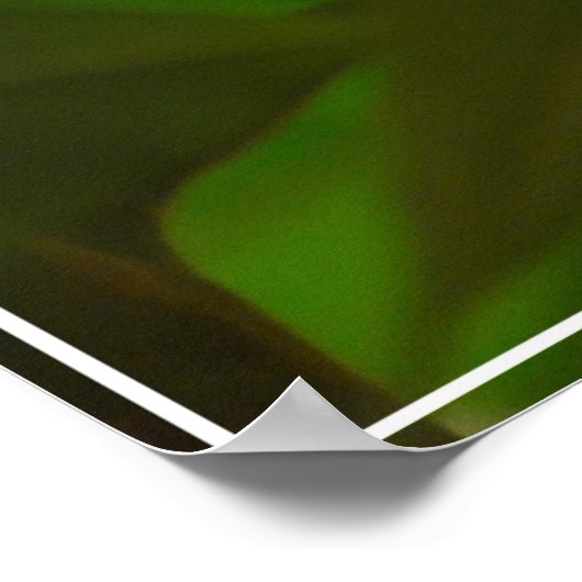 Baltimore Oriole Poster (Ecke)