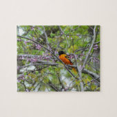 Baltimore Oriole Puzzle (Horizontal)