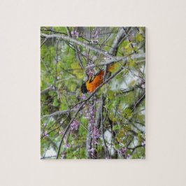 Baltimore Oriole Puzzle