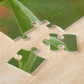 Baltimore Oriole Puzzle (Seite)