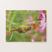Baltimore Oriole Puzzle (Horizontal)