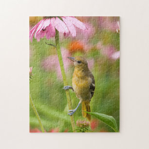Baltimore Oriole Puzzle