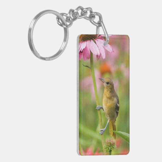 Baltimore Oriole Schlüsselanhänger (Vorderseite links)