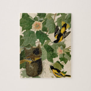 Baltimore Oriole seltenes Audubon Puzzle