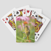 Baltimore Oriole Spielkarten (Rückseite)