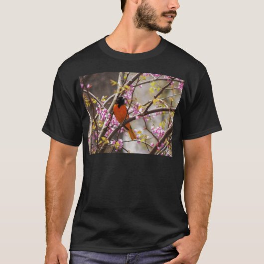Baltimore Oriole T-Shirt (Vorderseite)