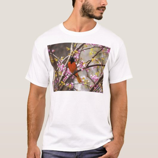 Baltimore Oriole T-Shirt (Vorderseite)