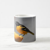 Baltimore Oriole Tasse (Mittel)