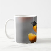 Baltimore Oriole Tasse (Links)