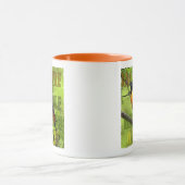 Baltimore Oriole Tasse- 11 oz. Tasse (Zentrum)
