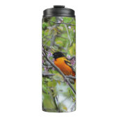 Baltimore Oriole Thermosbecher (Vorderseite)