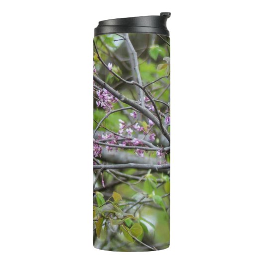 Baltimore Oriole Thermosbecher (Nach links gedreht)