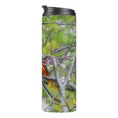 Baltimore Oriole Thermosbecher (Nach rechts gedreht)