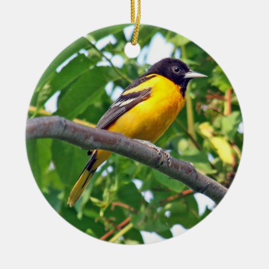 Baltimore Oriole-Verzierung Keramik Ornament (Vorne)