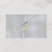 Baltimore Oriole Visitenkarte (Rückseite)