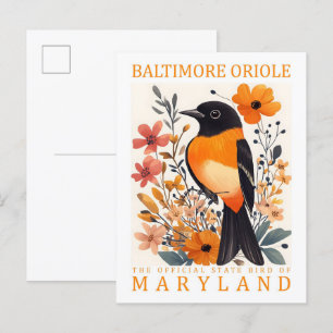 Baltimore Oriole Vogel von Maryland USA Reise Postkarte