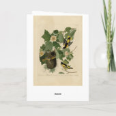 Baltimore Oriole - von Audubons Vögeln Amerikas Karte (Rückseite)