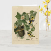 Baltimore Oriole - von Audubons Vögeln Amerikas Karte (Gelbe Blume)