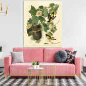 Baltimore Oriole - von Audubons Vögeln Amerikas Leinwanddruck (Insitu (Wohnzimmer))