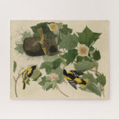 Baltimore Oriole - von Audubons Vögeln Amerikas Puzzle (Horizontal)