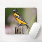 Baltimore Oriole Weibchen im Blumengarten Mousepad (Mit Mouse)