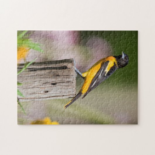 Baltimore Oriole Weibchen im Blumengarten Puzzle (Horizontal)