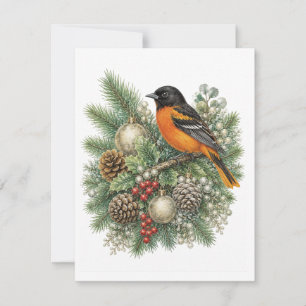 Baltimore Oriole Winter Songbirds Kollektion Mitteilungskarte