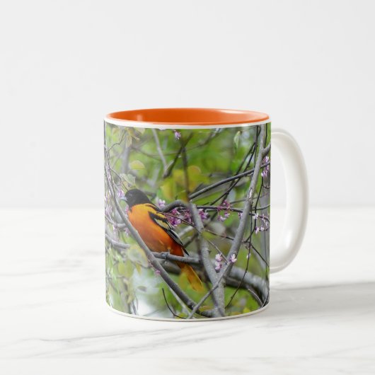 Baltimore Oriole Zweifarbige Tasse (VorderseiteRechts)