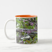 Baltimore Oriole Zweifarbige Tasse (Links)