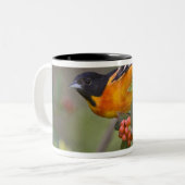 Baltimore Oriole Zweifarbige Tasse (Vorderseite Links)